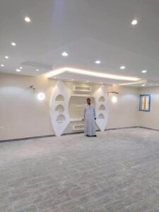 الريشة الناعمة للدهانات الحديثة